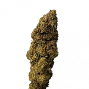 Flores de CBD BLUBERRY. MARIHUANA LEGAL